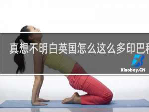 真想不明白英国怎么这么多印巴移民