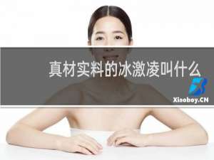 真材实料的冰激凌叫什么
