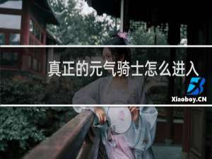 真正的元气骑士怎么进入