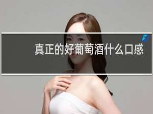 真正的好葡萄酒什么口感