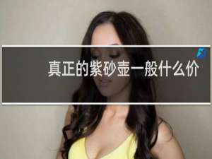 真正的紫砂壶一般什么价格