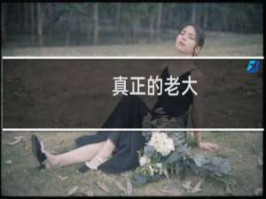 真正的老大