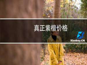 真正紫檀价格