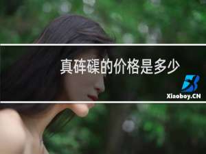 真砗磲的价格是多少