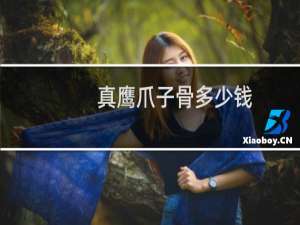 真鹰爪子骨多少钱