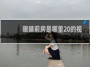 眼睛前房是哪里 的视频图（眼睛前房是哪里）