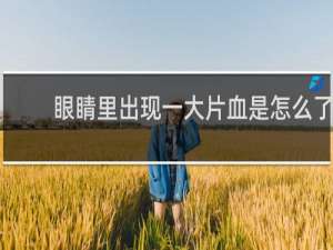 眼睛里出现一大片血是怎么了