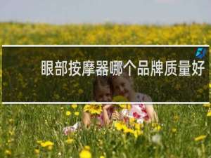 眼部按摩器哪个品牌质量好