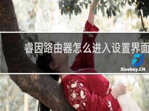 睿因路由器怎么进入设置界面