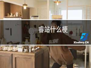 睿站什么梗