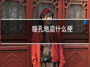 瞳孔地震什么梗