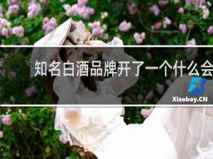 知名白酒品牌开了一个什么会