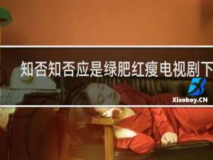 知否知否应是绿肥红瘦电视剧下载