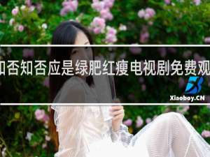 知否知否应是绿肥红瘦电视剧免费观看全集