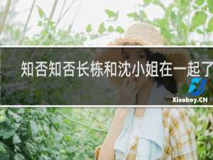 知否知否长栋和沈小姐在一起了吗