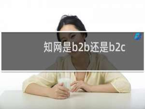 知网是b2b还是b2c