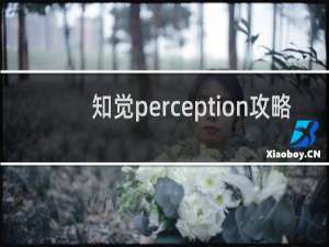 知觉perception攻略