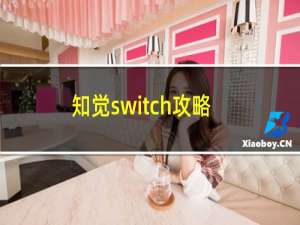 知觉switch攻略