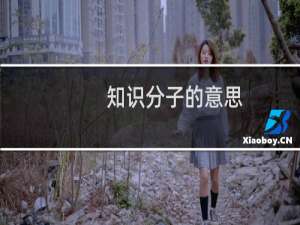 知识分子的意思