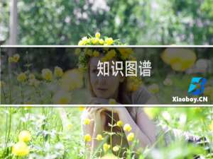 知识图谱
