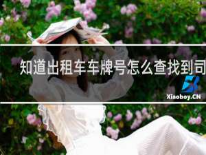 知道出租车车牌号怎么查找到司机