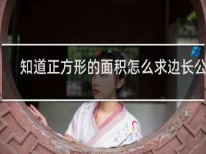 知道正方形的面积怎么求边长公式