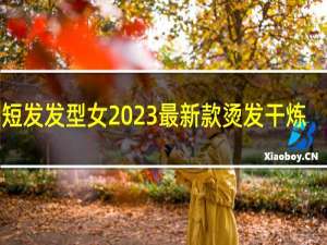 短发发型女2023最新款烫发干炼