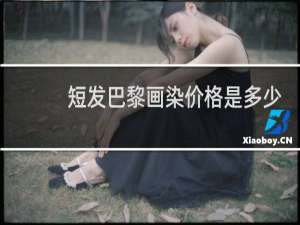 短发巴黎画染价格是多少