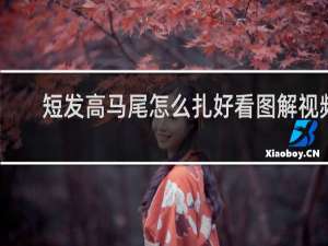 短发高马尾怎么扎好看图解视频