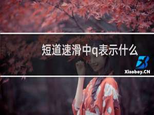 短道速滑中q表示什么