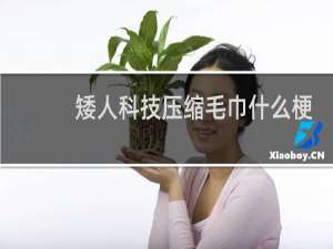 矮人科技压缩毛巾什么梗
