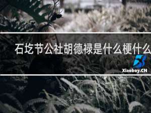石圪节公社胡德禄是什么梗什么梗