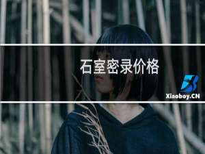石室密录价格