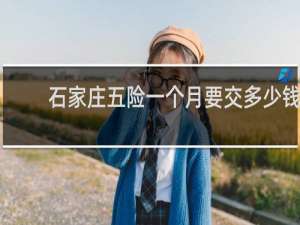 石家庄五险一个月要交多少钱