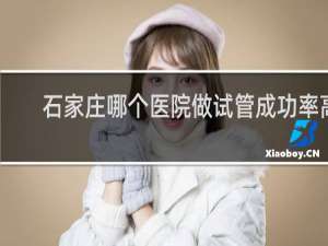石家庄哪个医院做试管成功率高