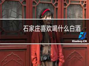 石家庄喜欢喝什么白酒