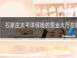 石家庄太平洋保险的营业大厅在哪里