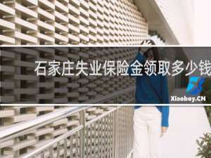 石家庄失业保险金领取多少钱