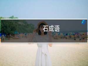 石成语