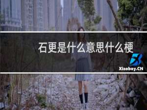 石更是什么意思什么梗