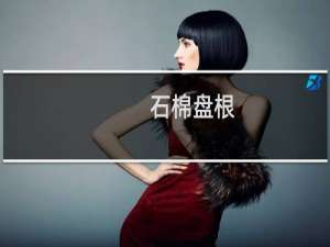 石棉盘根