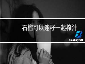 石榴可以连籽一起榨汁吗（破壁机可以打石榴籽吗）