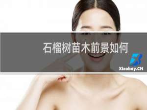石榴树苗木前景如何