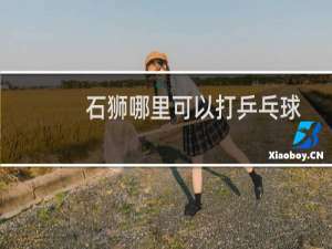 石狮哪里可以打乒乓球