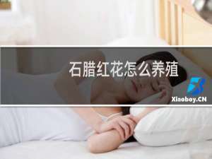 石腊红花怎么养殖