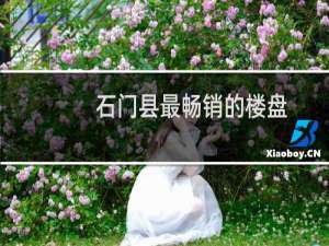 石门县最畅销的楼盘