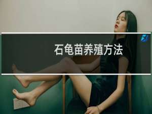 石龟苗养殖方法