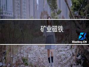矿业磁铁