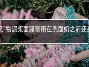 矿物泥浆面膜膏用在洗面奶之前还是之后
