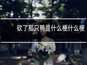 砍了那只鸭是什么梗什么梗
